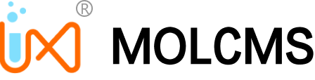 摩尔建站